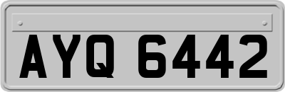 AYQ6442