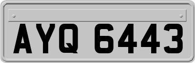 AYQ6443
