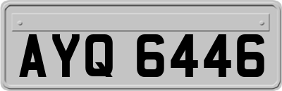 AYQ6446