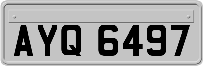 AYQ6497