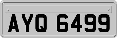 AYQ6499
