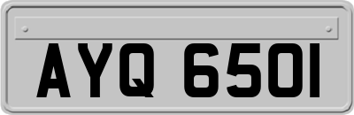 AYQ6501
