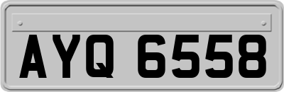 AYQ6558