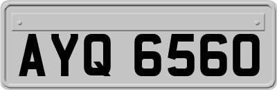 AYQ6560