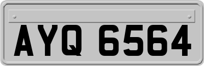 AYQ6564