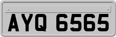 AYQ6565