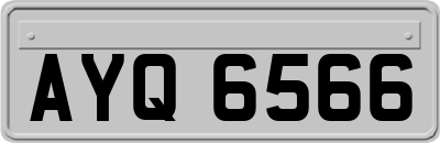 AYQ6566