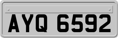 AYQ6592