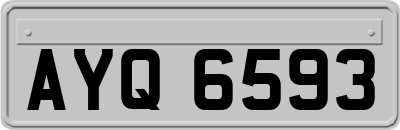 AYQ6593