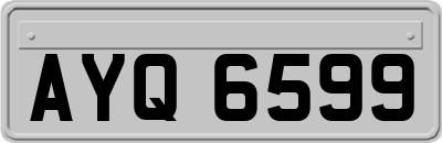 AYQ6599