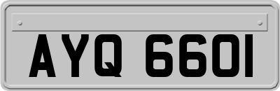 AYQ6601