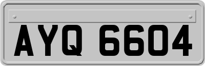 AYQ6604