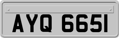 AYQ6651