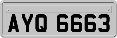 AYQ6663