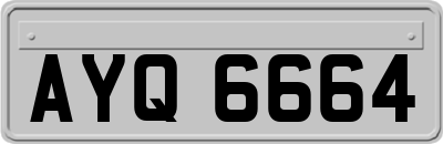 AYQ6664