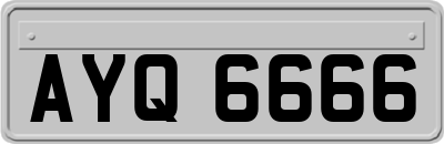 AYQ6666