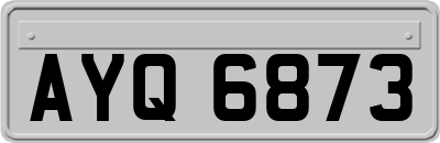 AYQ6873