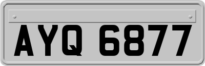 AYQ6877