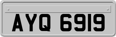 AYQ6919
