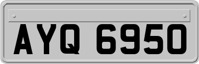 AYQ6950