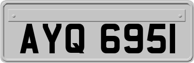 AYQ6951