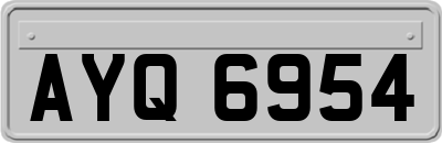 AYQ6954