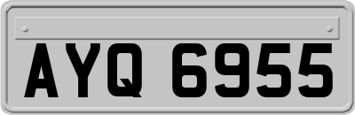 AYQ6955