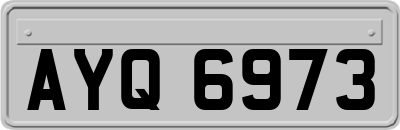 AYQ6973