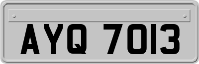 AYQ7013