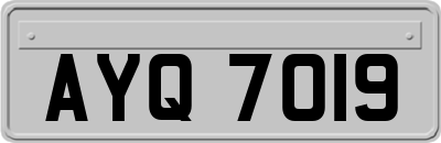 AYQ7019