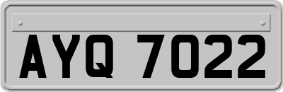 AYQ7022