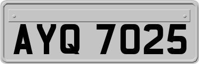 AYQ7025