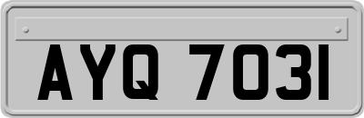 AYQ7031