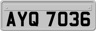 AYQ7036