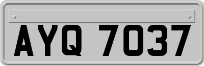 AYQ7037