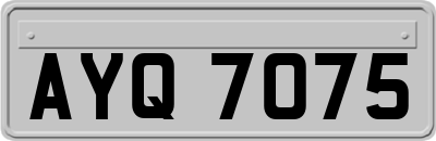 AYQ7075