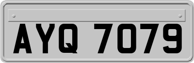 AYQ7079