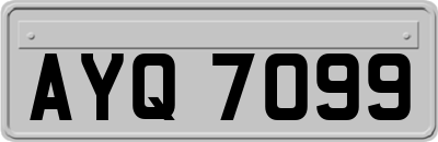 AYQ7099