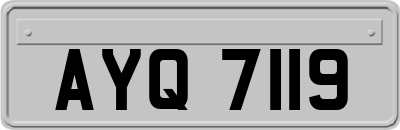 AYQ7119