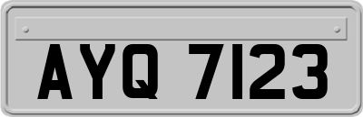 AYQ7123