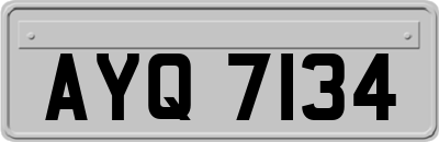 AYQ7134