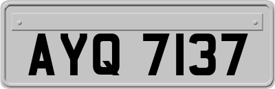AYQ7137