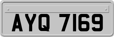 AYQ7169