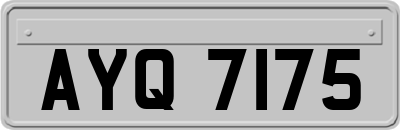 AYQ7175
