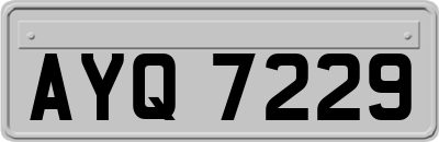 AYQ7229
