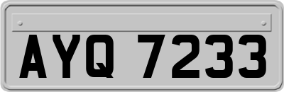AYQ7233