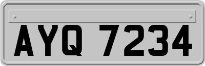 AYQ7234