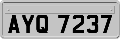 AYQ7237