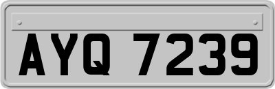 AYQ7239