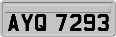 AYQ7293